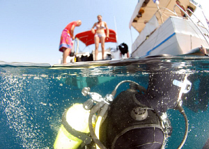 just coming up from the dive ..... by Andy Kutsch 